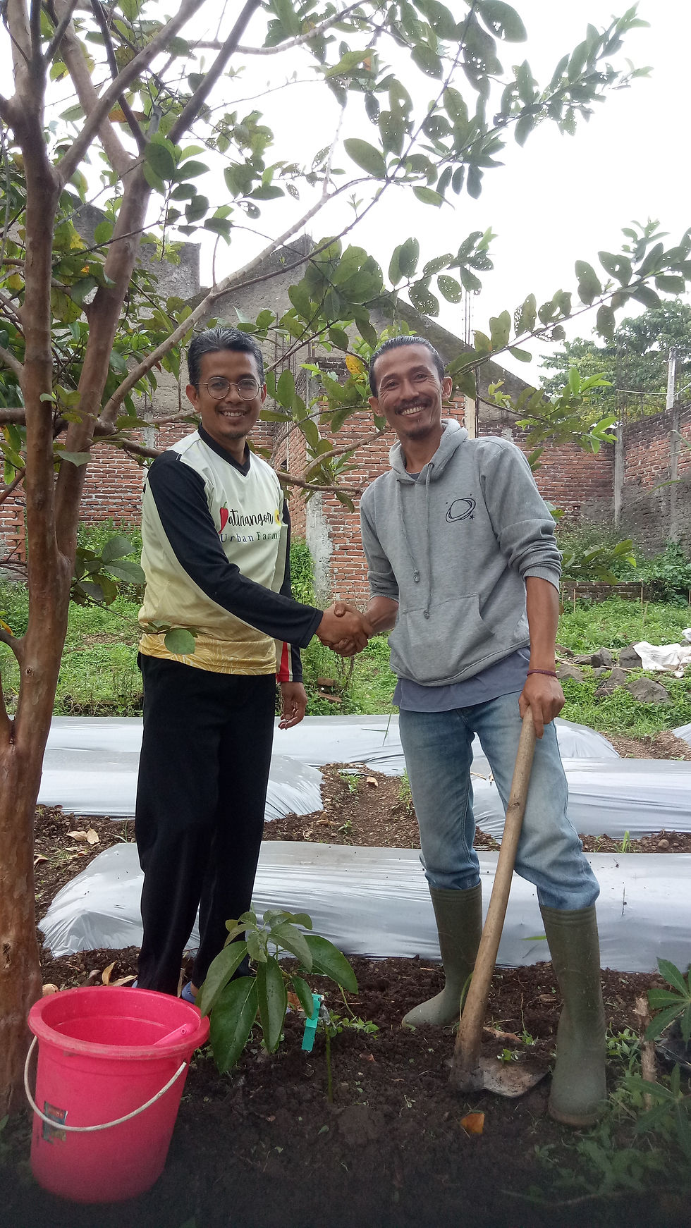 One Tree One Home Program