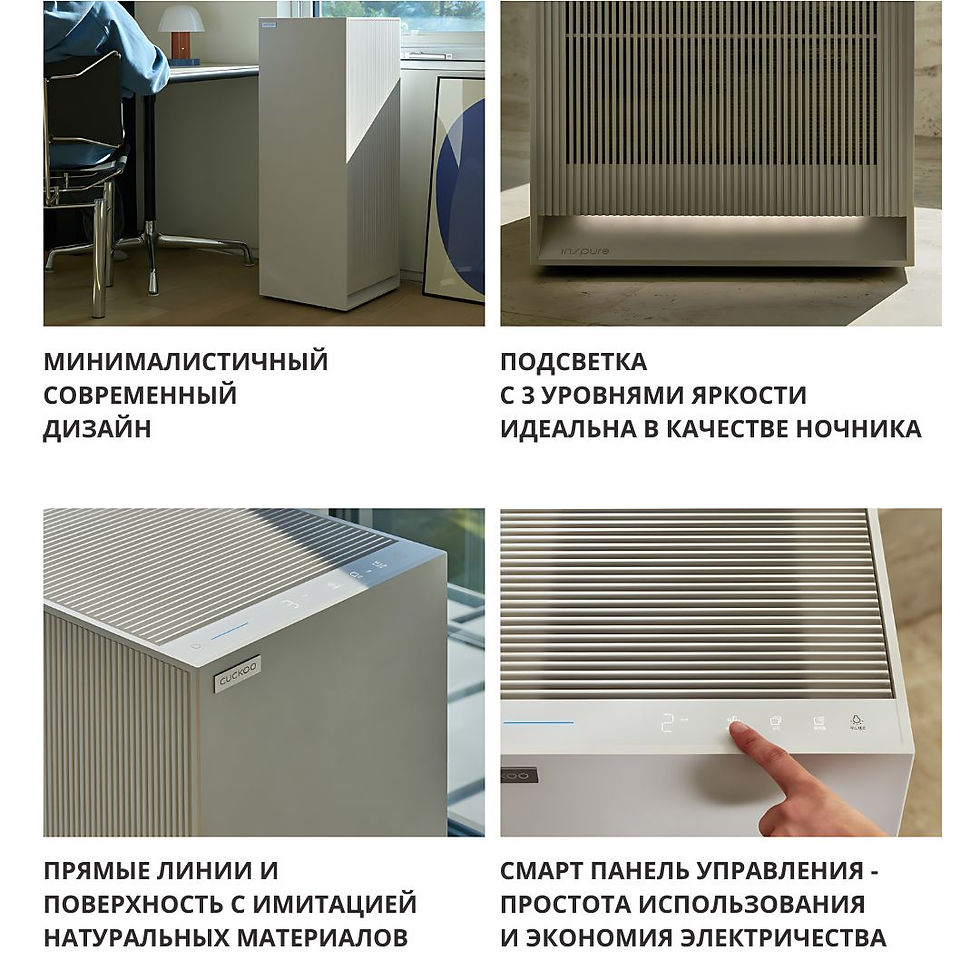 Миниатюра: INSPURE HERITAGE 28 очиститель воздуха