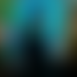 E A FESTA DE LANÇAMENTO FOI COMO??