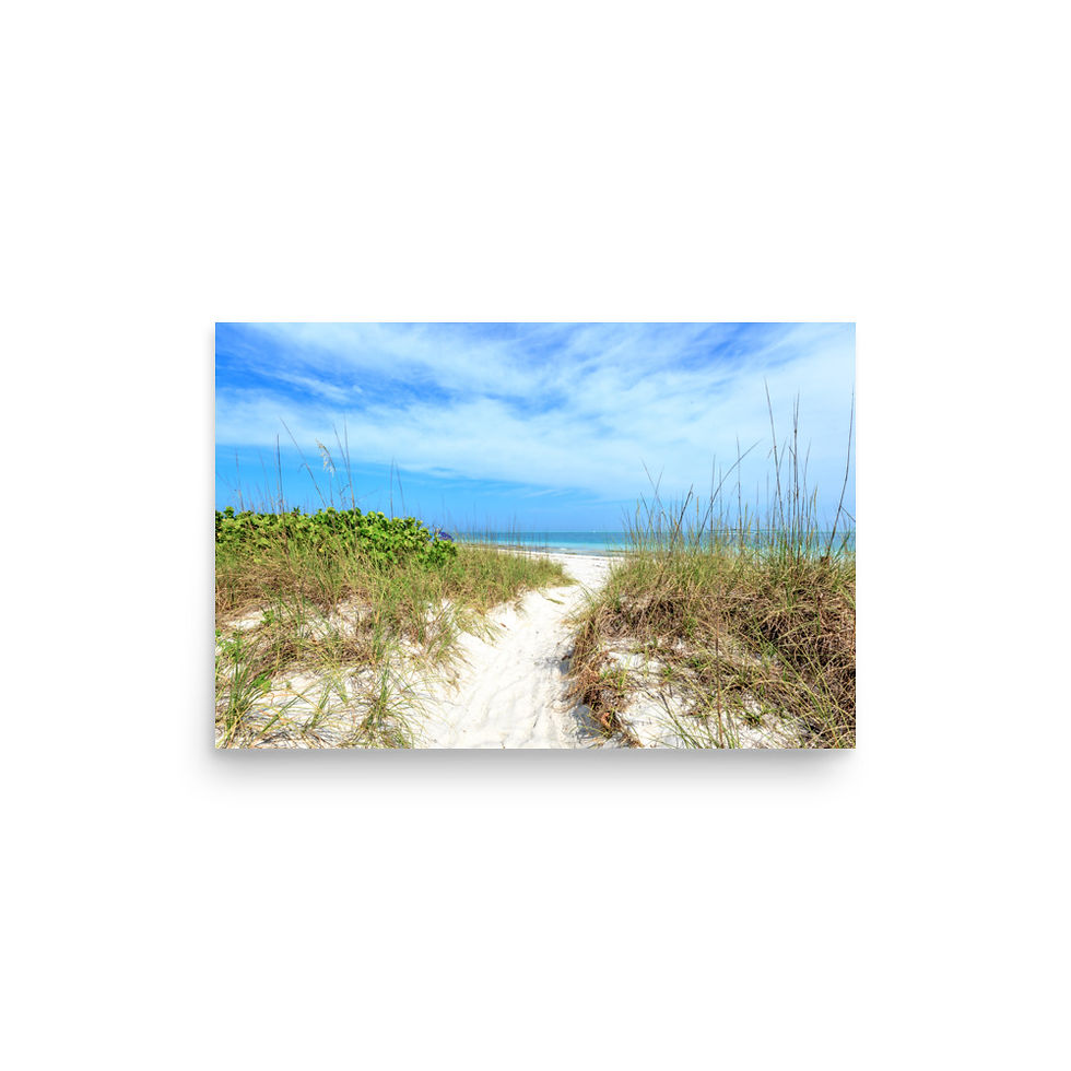 Thumbnail: Pathway to Bean Point