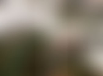 A Lush Orcas Island Wedding full of Greeney at Pebble Cove Farm