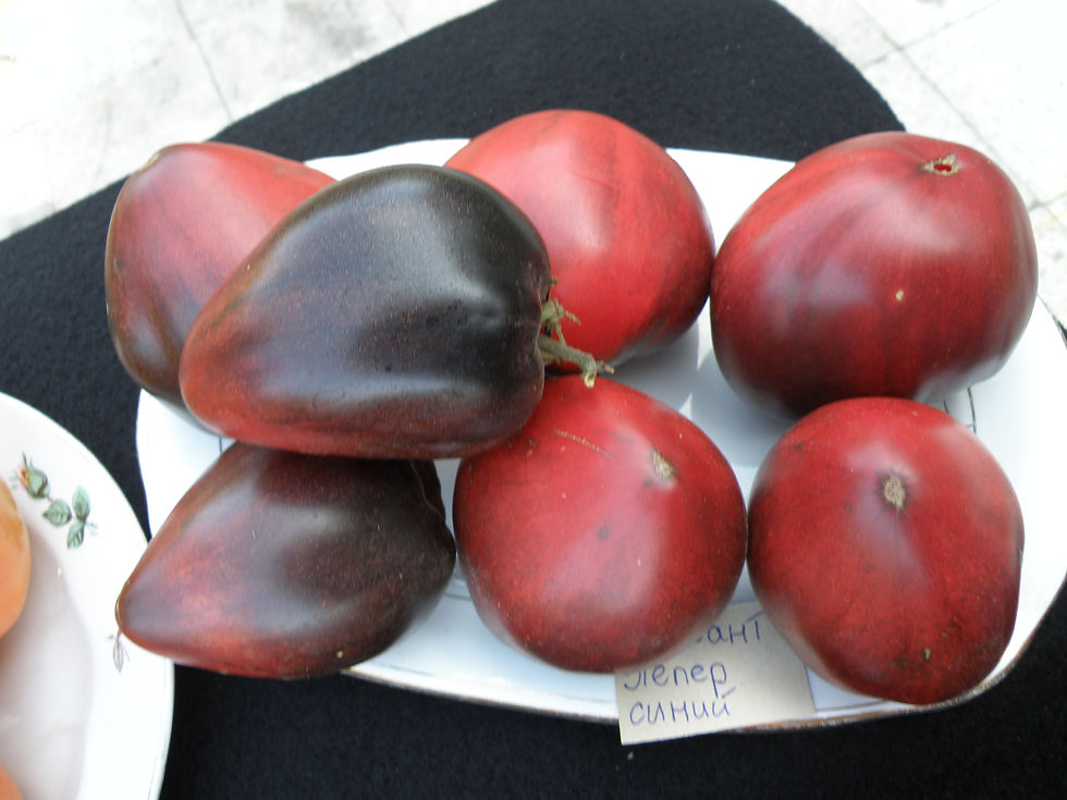 Sīktēls: Сержант Пеппер