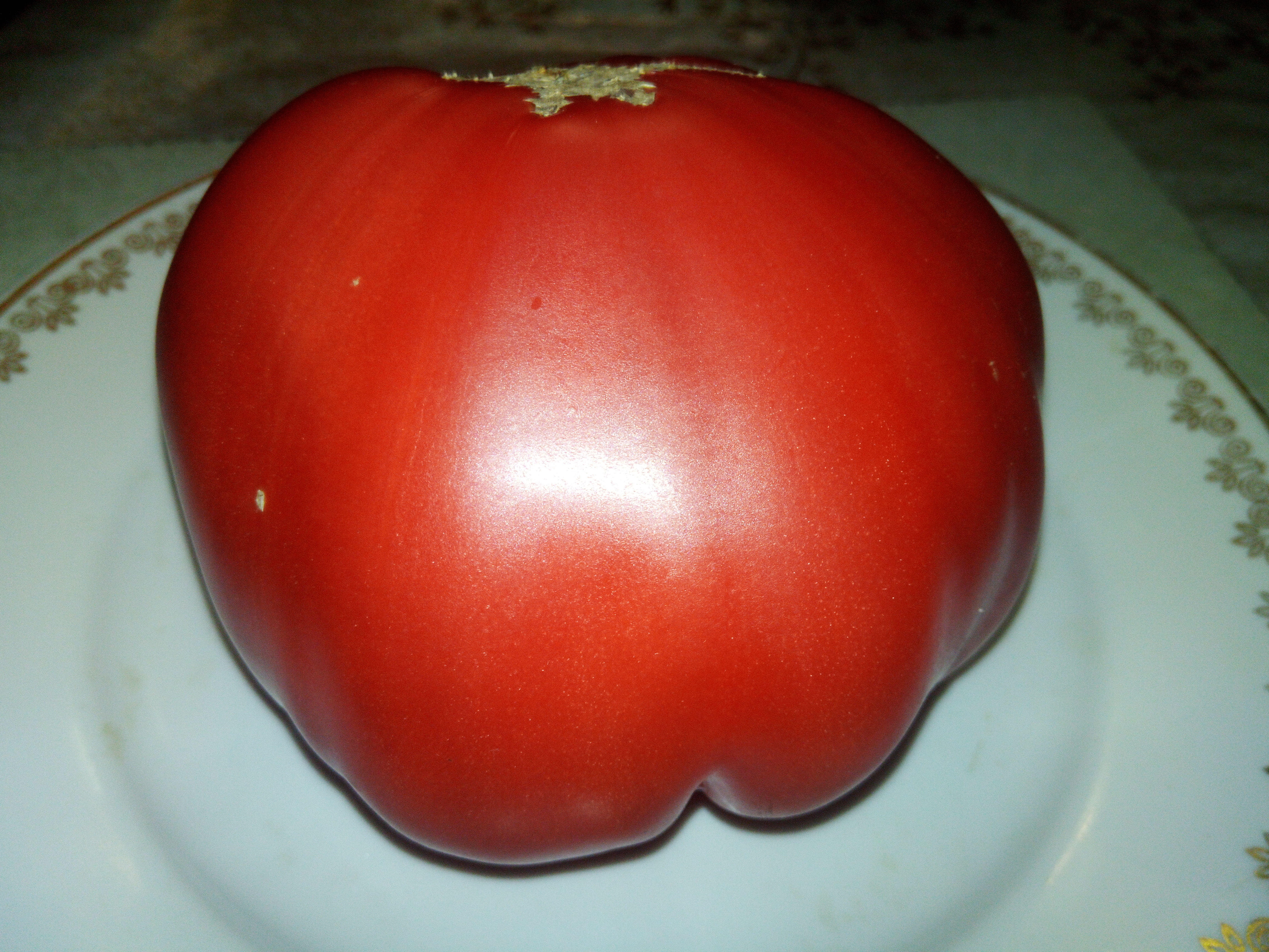 Бычье сердце минусинское выставочное