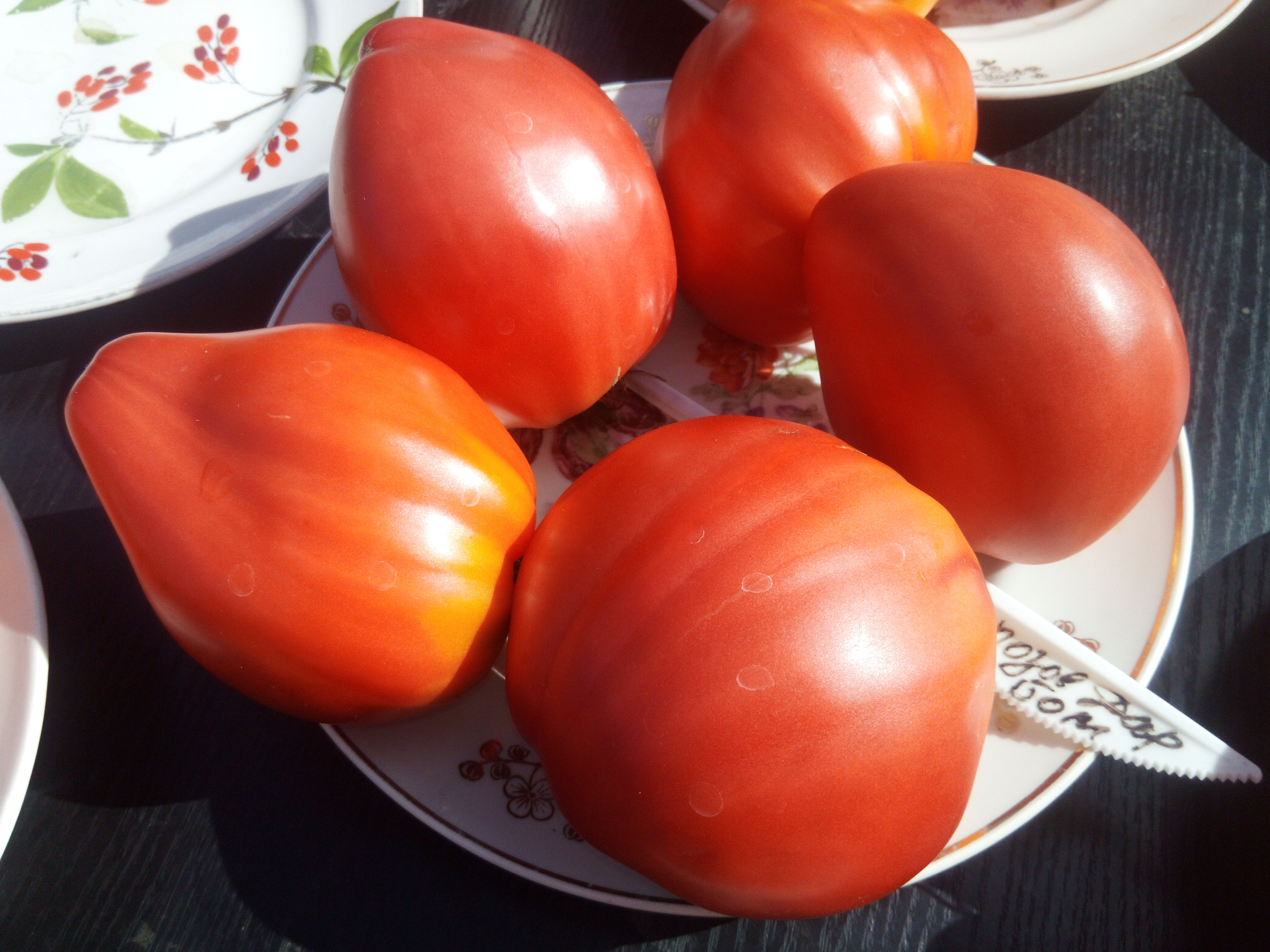 Розовый дар