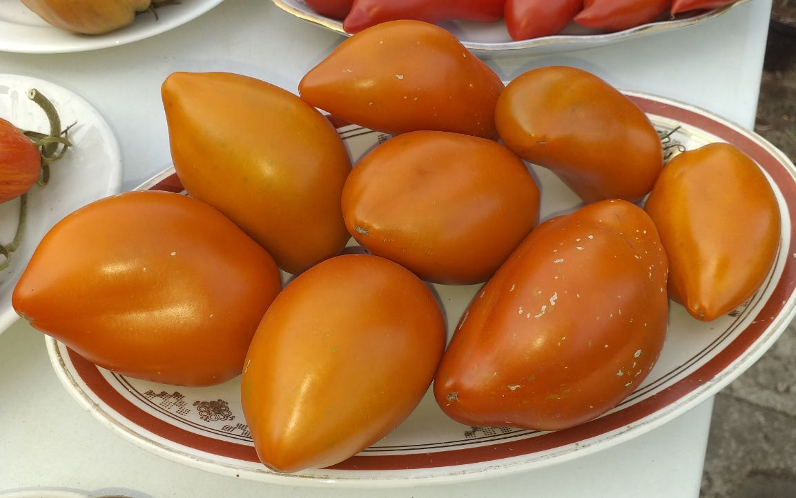 Бронзовое сердце Ангела