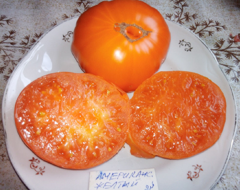 Американский ребристый желтый