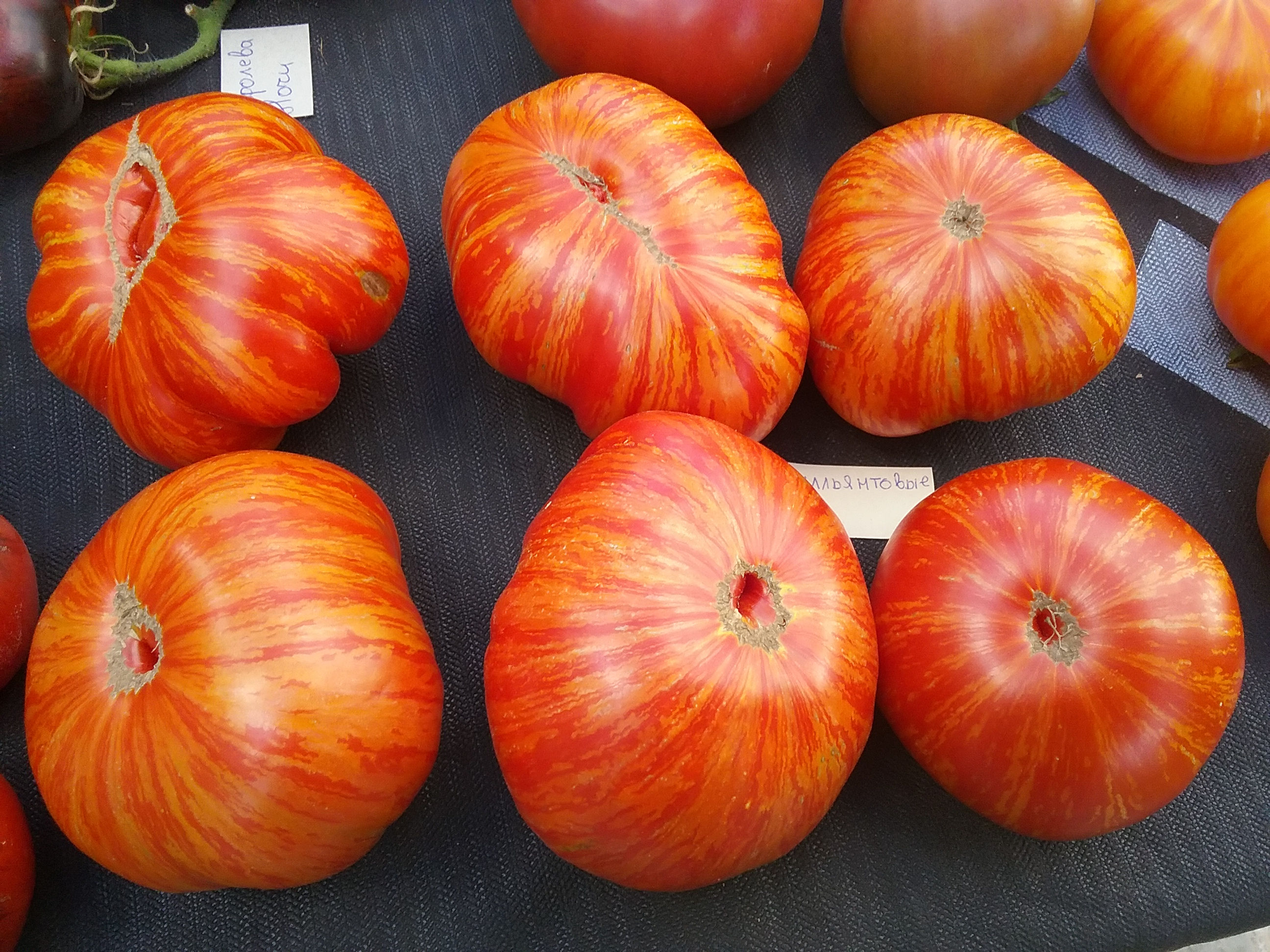 Бриллиантовые  ноги