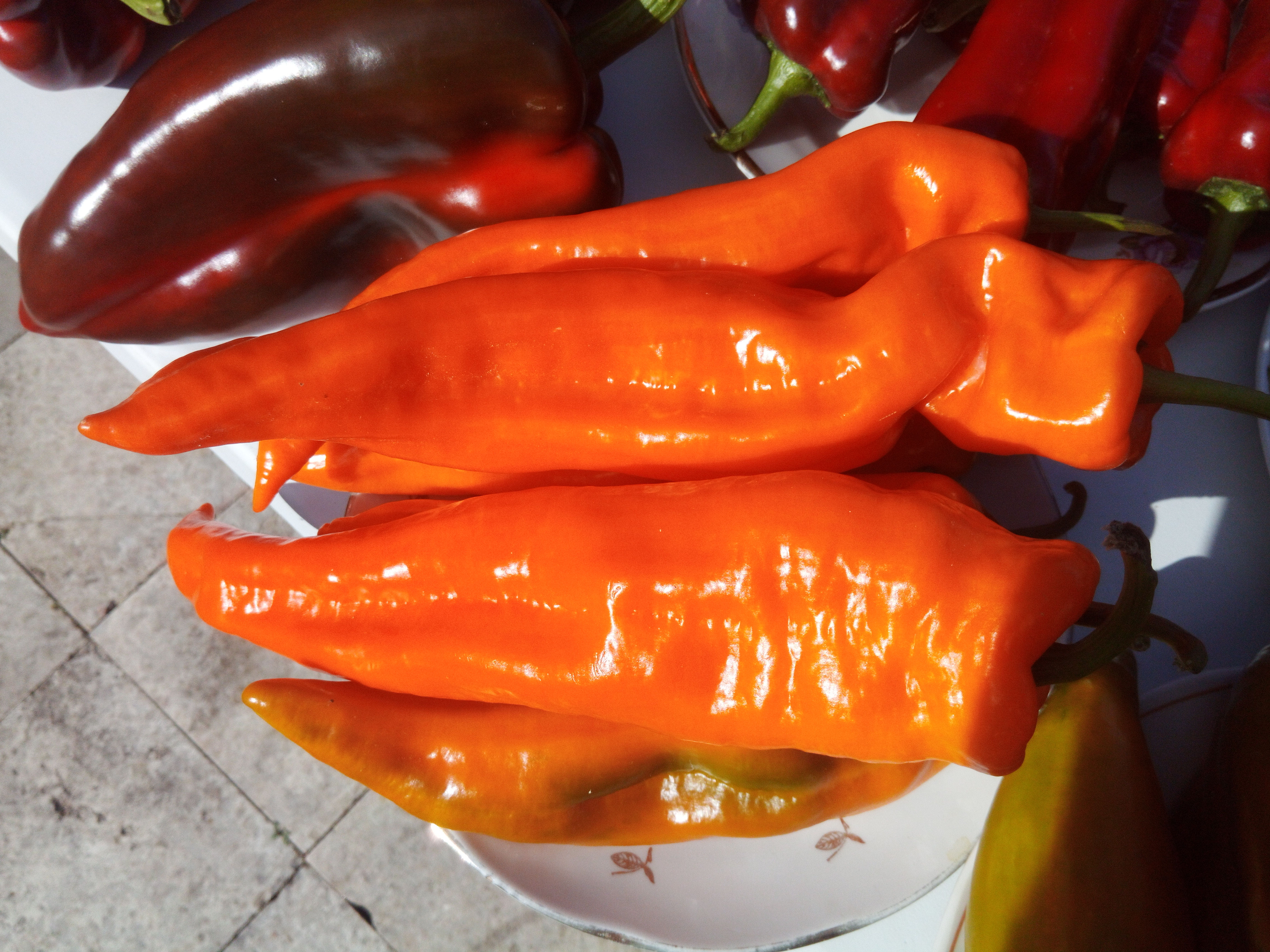 Маркони оранжевый