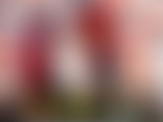 Liga : Le Real Madrid perd sur le terrain du Majorque et laisse le champ libre au Barça