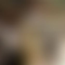 Esther Fleurant : quand la blessure devient une force