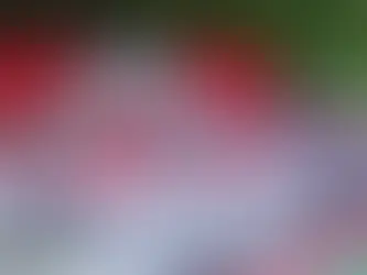 ÉCOLE DES MÉDIAS : Cérémonie de couronnement intellectuel de la promotion : KONPÈ FILO