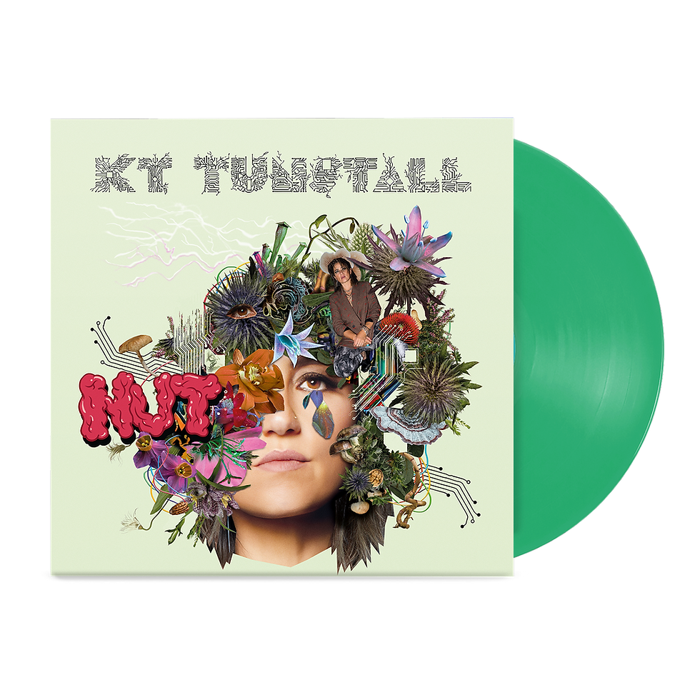 Thumbnail: KT Tunstall - NUT