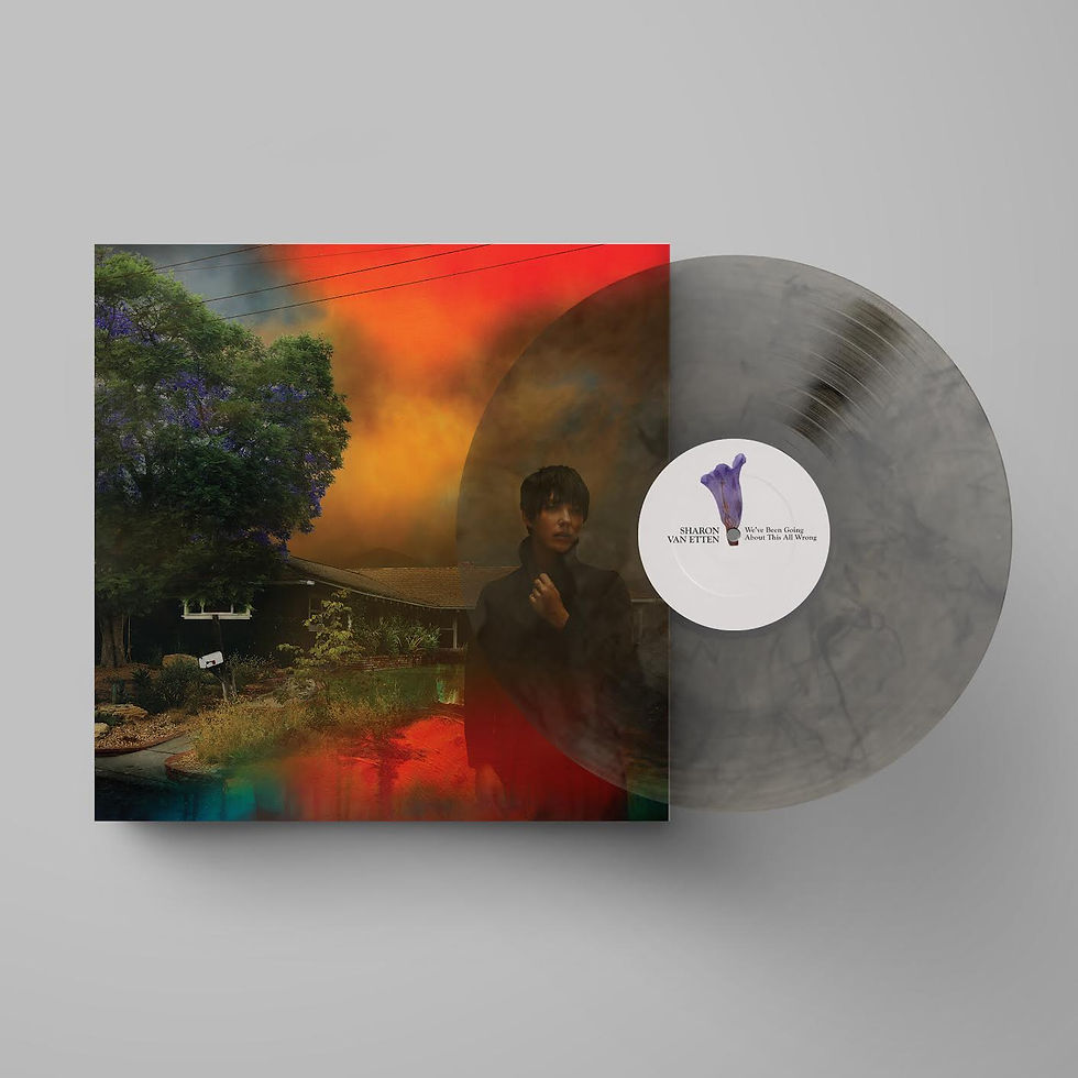 Thumbnail: Sharon Van Etten - We've Been Going About This All Wrong