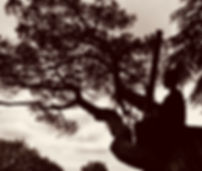 fullsizeoutput_e17.jpeg