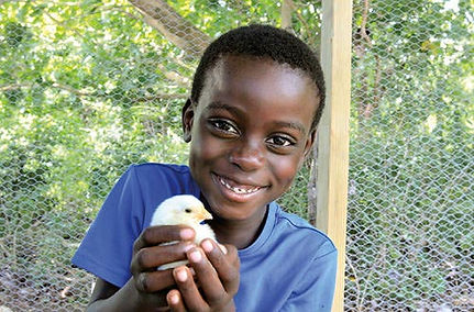 gc0920-wb-20-chicks.jpeg