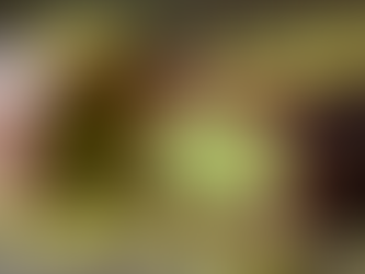 Le Véritable Chocolat de Dubaï : Pistache, Knafeh et Prestige