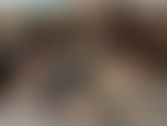 2º Encontro Internacional do projecto, 2 e 3 de Novembro de 2021, em Sofia, Bulgária