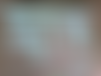 Virtual Youth Exchange Project of the MedNC Network