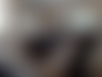 Encontro Transnacional do Projeto INCAS