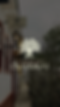 banner site-05.png