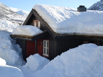 Ny leieperiode åpen for søknad