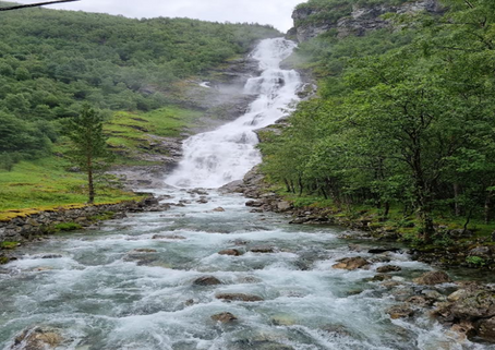 Seniorforeningen på tur