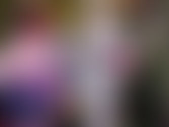 Twin Cities Pride Trunk-or-Treat 2025