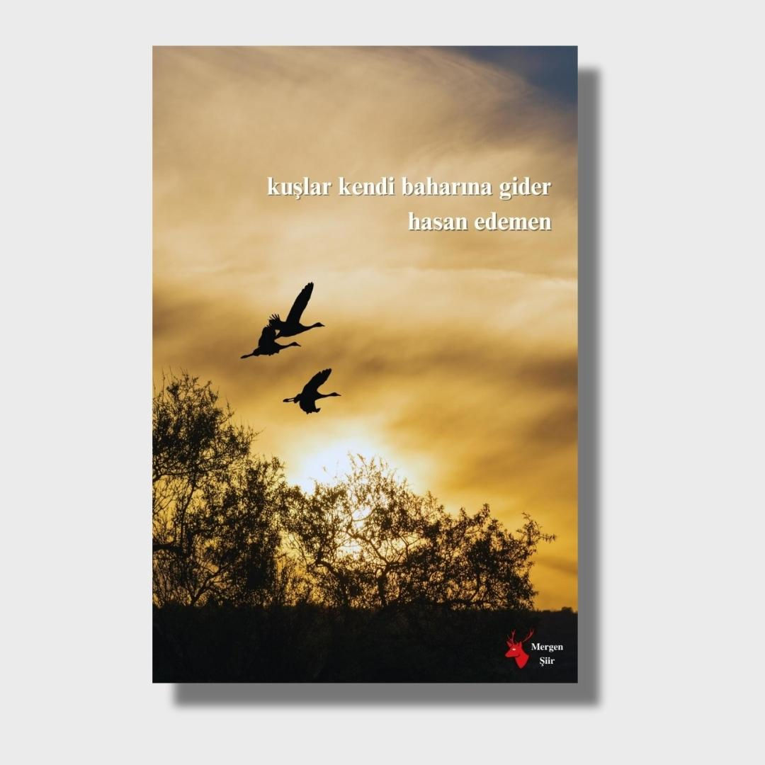 Kuşlar Kendi Baharına Gider - Hasan Edemen