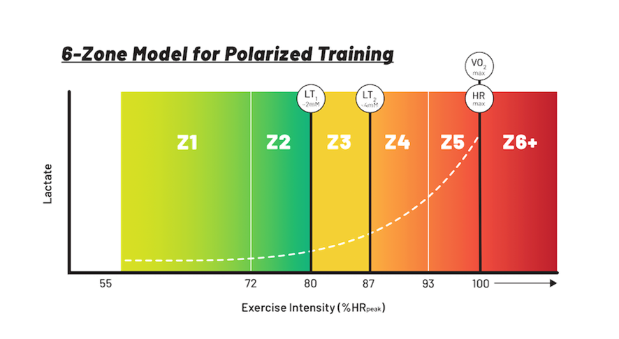 Modelo de distribuição de carga para Treinamento Polarizado (3)