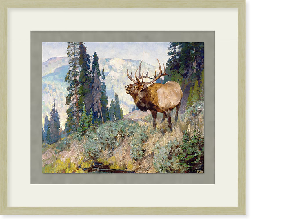 Thumbnail: Wind River Bugler