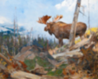 Alaskan Wilderness