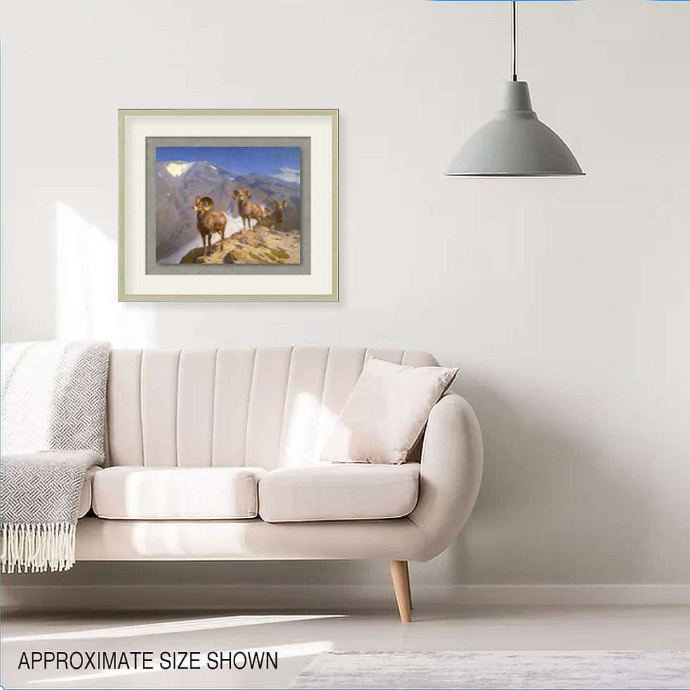 Thumbnail: On Wilcox Pass