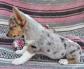 858266120_1831832098269594_3168114777624542823_n.jpg