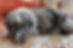 484035467_9822508954425819_7720131920479568422_n.jpg