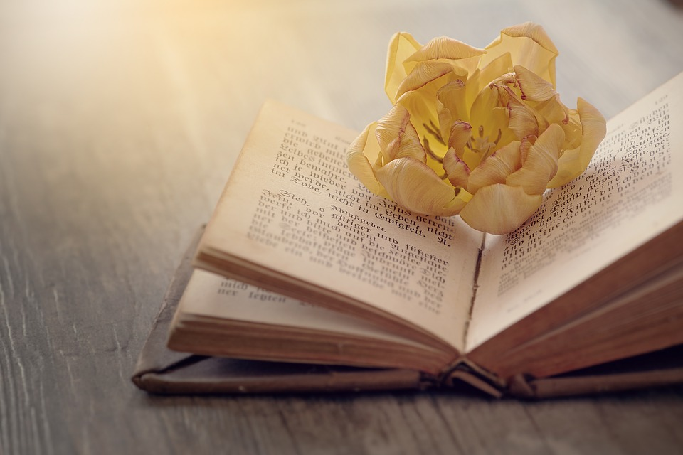 How long should my book be 