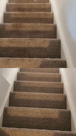 520549905_4185504155065469_6173909713271998076_n