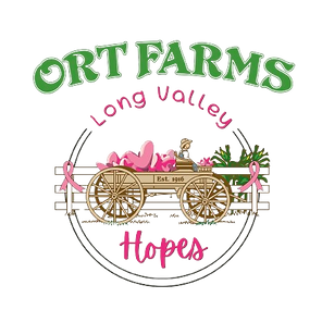 image-removebg-preview (3).png