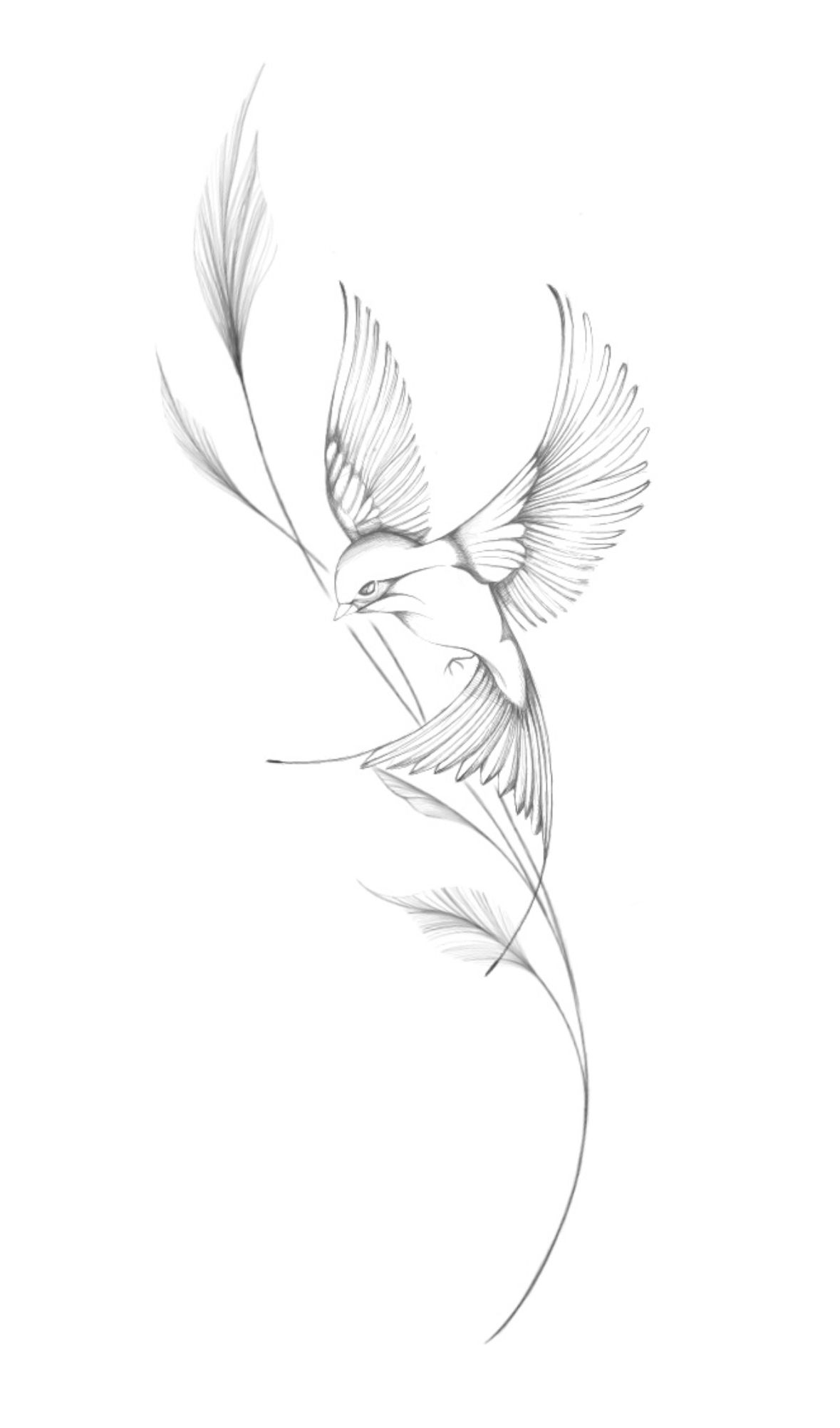Bird and branch