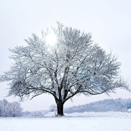What Will You Tend — And What Will You Let Rot?