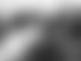 Luv', José & Marga: latest news