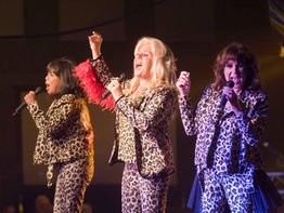 Luv' Chronicles (late July - late September 2025)