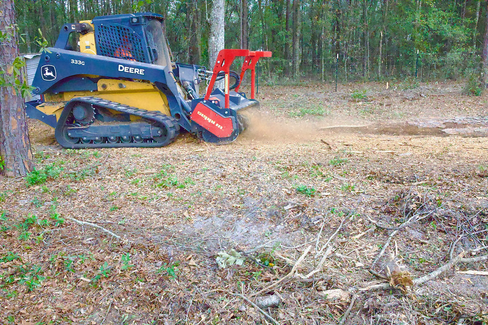 Wide angle view of cleared land with fresh mulch covering the soil
