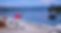 eef4535e-5cca-4653-a5c2-a2a129eeeaed_edi