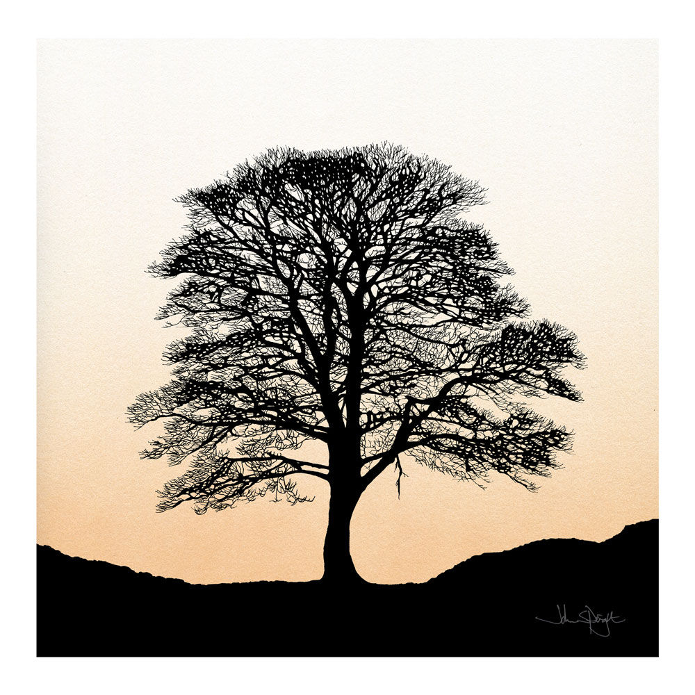 "Sycamore Gap Tree" Print 12" x 12"