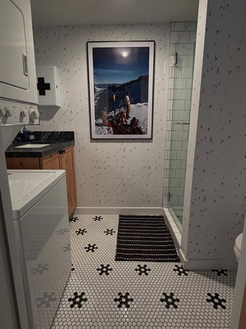 Cabin Ski Bathroom