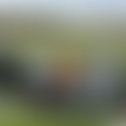 Super Herbstrunde Dc Junioren