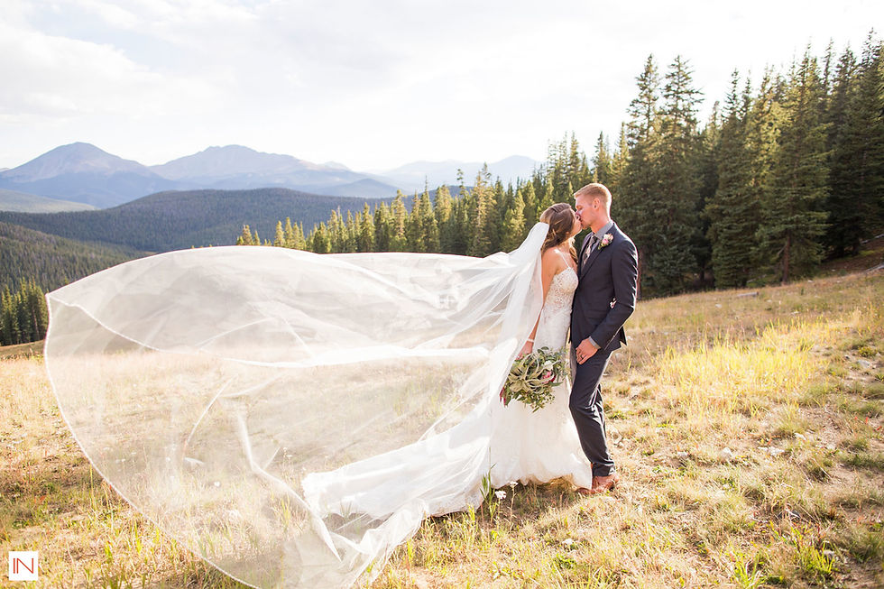Breckenridge Wedding - Wedding Veil