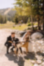 Breckenridge Wedding Planner - Mountain Wedding with Dogs