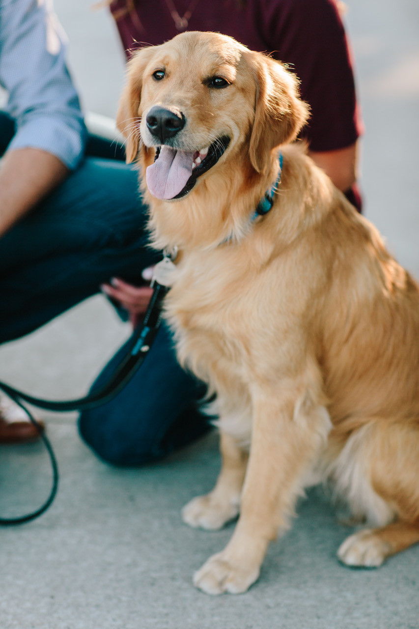 Breckenridge Wedding Planner - Engagement Photos