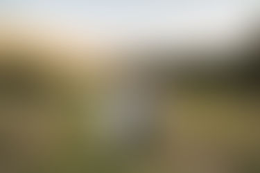 Timber Ridge Wedding in Keystone Colorado